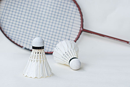 中的实力 中的实力